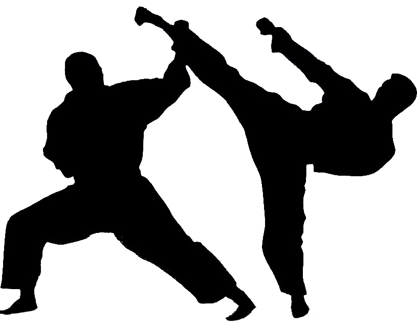 bagarre judo